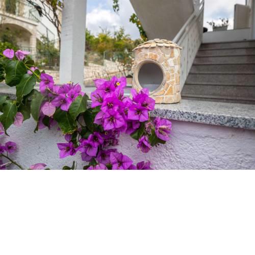 Apartments Mirjana