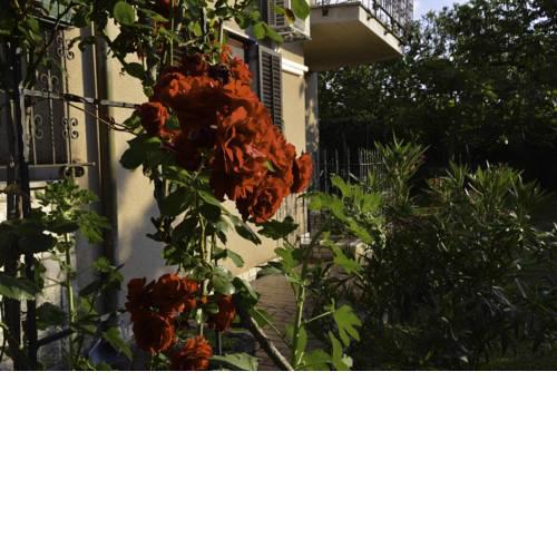 Apartments Nela