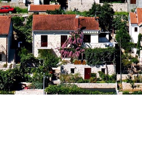 Apartments Nikola
