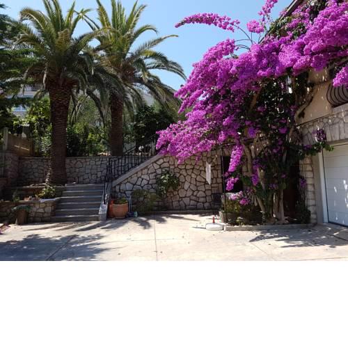 Apartments Nives