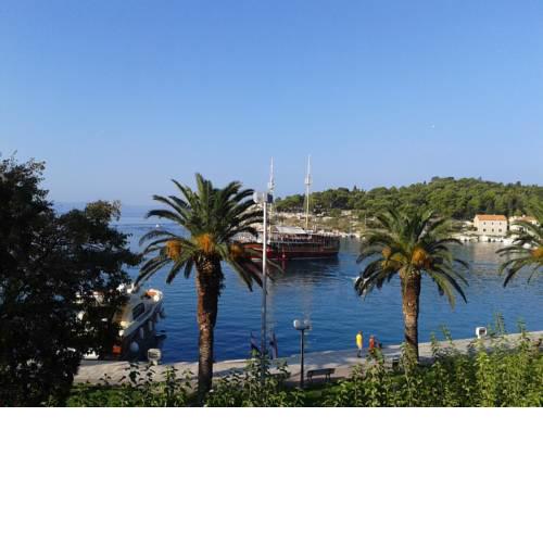 Apartments Nizetic at Waterfront