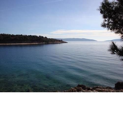 Apartments Olea