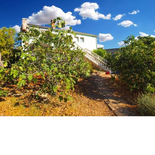 Apartments Olivera 286