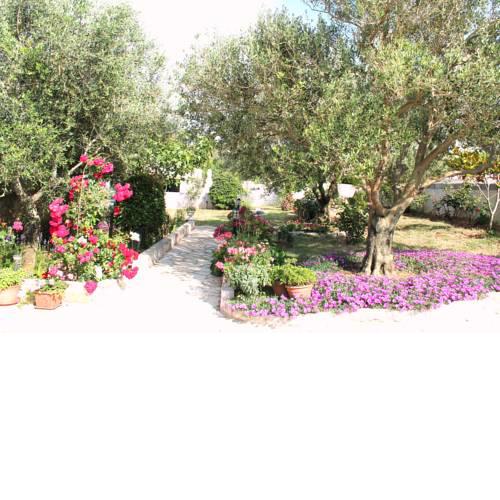 Apartments Perkovic