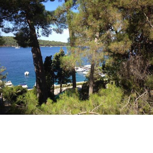 Apartments Pero - 80 m from sea