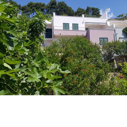 Apartments Pero
