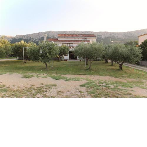 Apartments Petrica