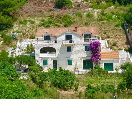 Apartments Renata