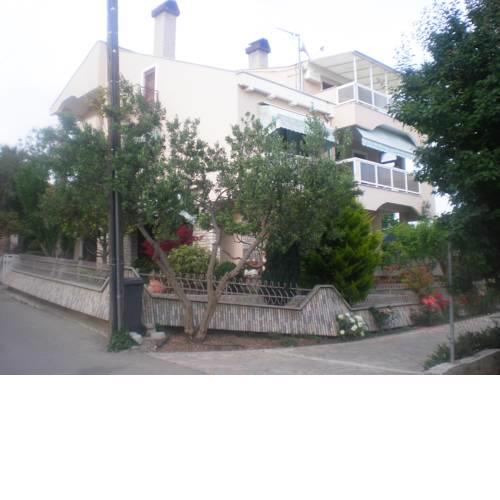 Apartments & Room Diana