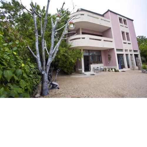 Apartments Silver Tree