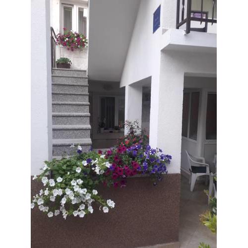 Apartments Šime