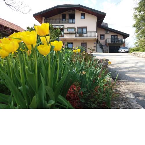 Apartments Strmac