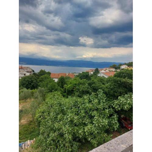 Apartments Supec - near the sea