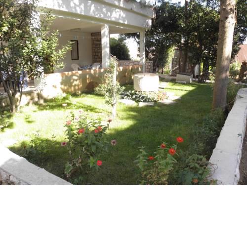 Apartments TI