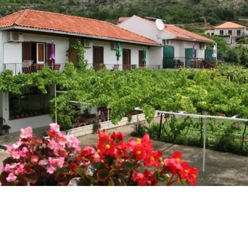 Apartments Tonci in Mlini 6255