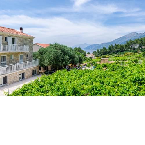 Apartments Villa Ana