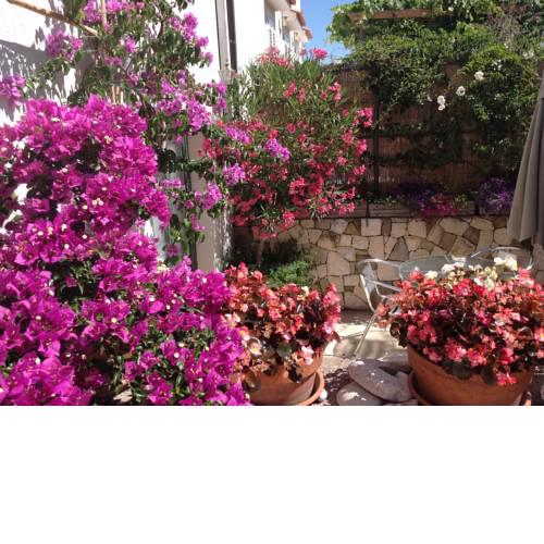 Apartments Villa Brumnic