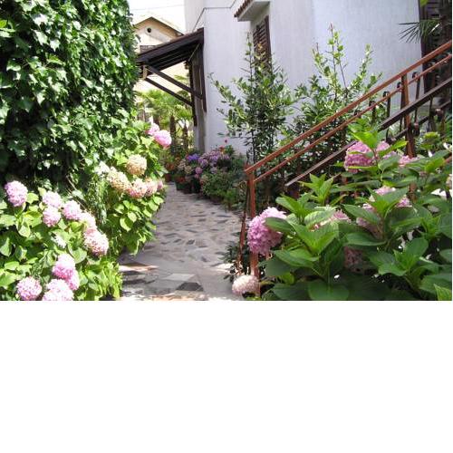 Apartments Villa Ida