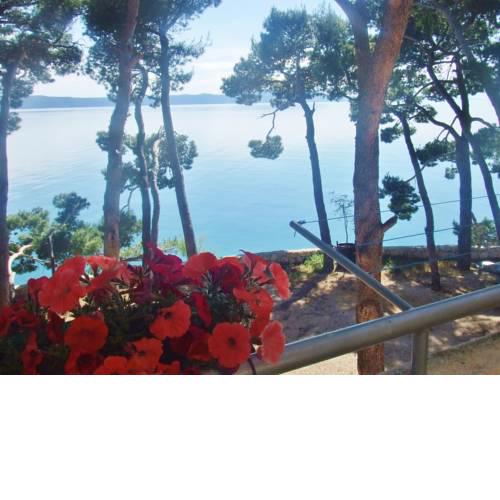 Apartments Villa Jelas