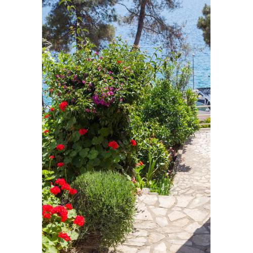 Apartments Villa Julija