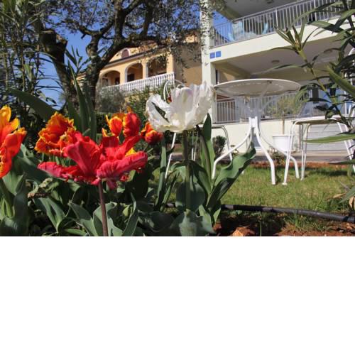 Apartments Villa Lili