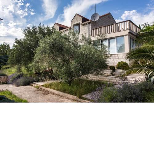 Apartments Villa Maslina