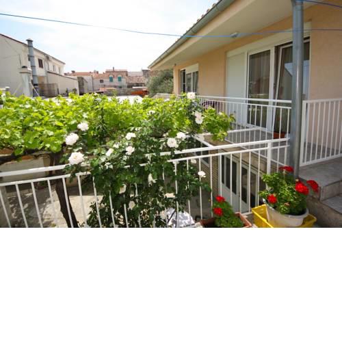 Apartments Vitis