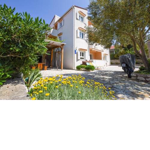 Apartments with a parking space Mandre, Pag - 18273