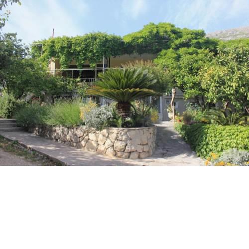 Apartments with a parking space Mlini, Dubrovnik - 8985