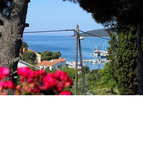 Apartments with a parking space Molat - 6249