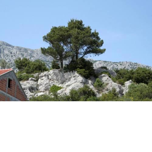 Apartments with a parking space Orebic, Peljesac - 4564
