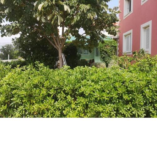 Apartments with a parking space Split - 17872