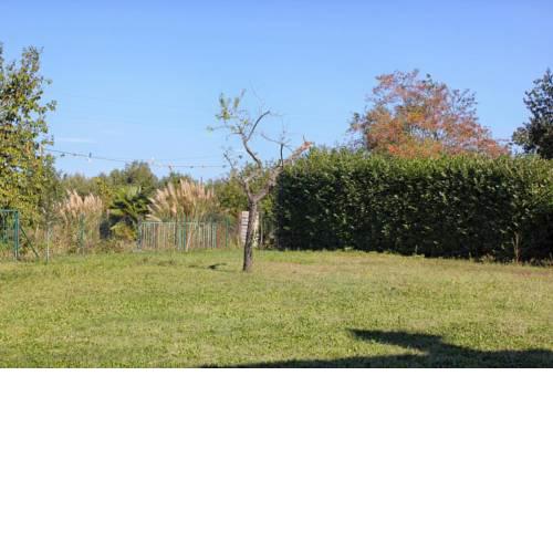 Apartments with a parking space Zambratija, Umag - 7141