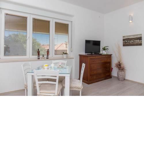 Apartments with WiFi Rijeka - 16021
