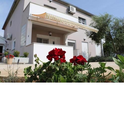 Apartments Zaton Draga
