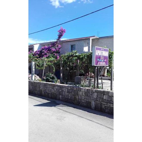 Apartments Zile