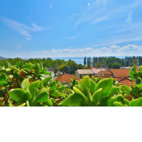 Apartments Zvone