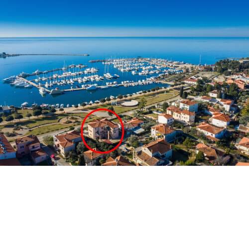APP Miranda Sun UMAG