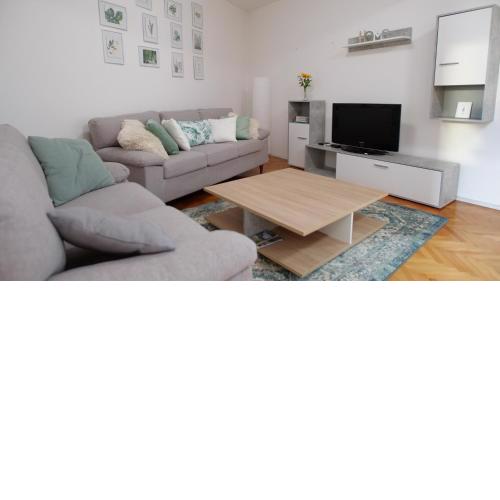 Arena apartment