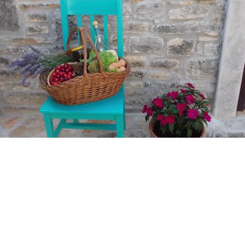 Authentic Istria&pet friendly apartment Banko near Rovinj