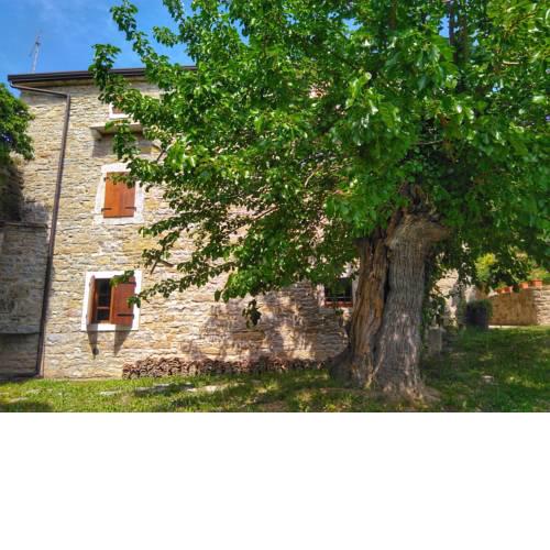 B&B al Merlo Olivo