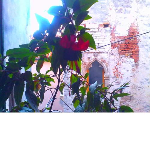 B&B Stone Town