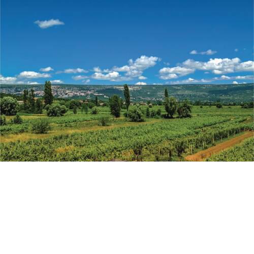 Beautiful home in Ricice w/ Outdoor swimming pool, WiFi and Outdoor swimming pool