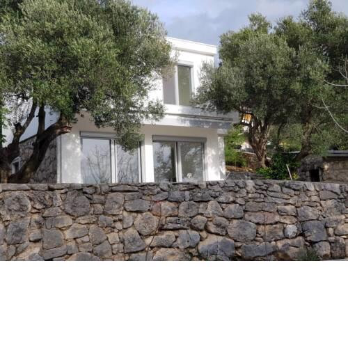 Beautiful house/villa Arboretum