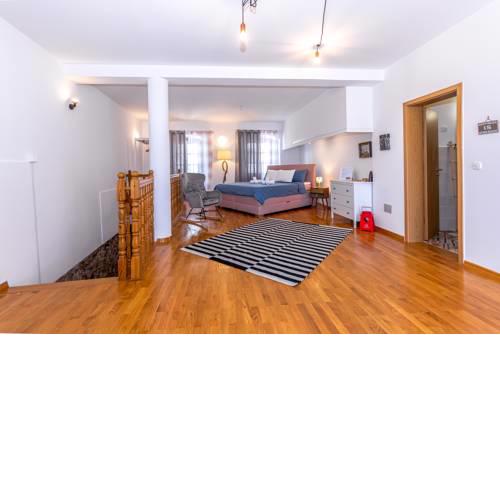 Beautiful open space central apartment Anna