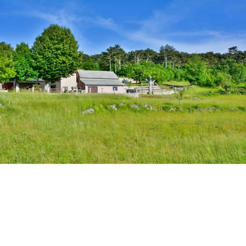 Beta Holiday Home