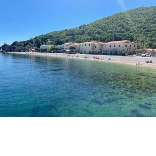 BISER KVARNERA 1.