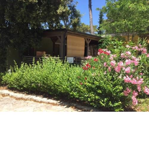 Blue dream mobile home Biograd& Soline