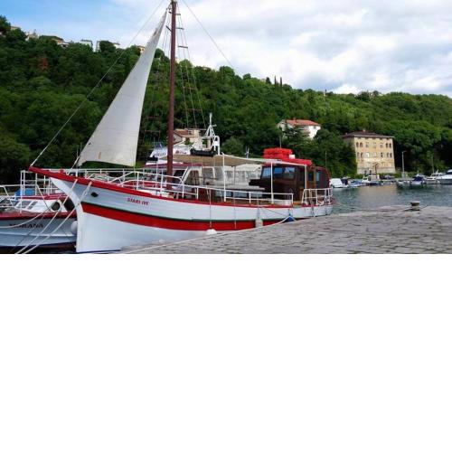 Boat-fishing charter Averto