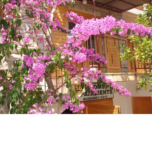 Bolbeach Guesthouse